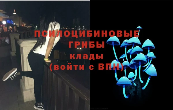 apvp Аркадак